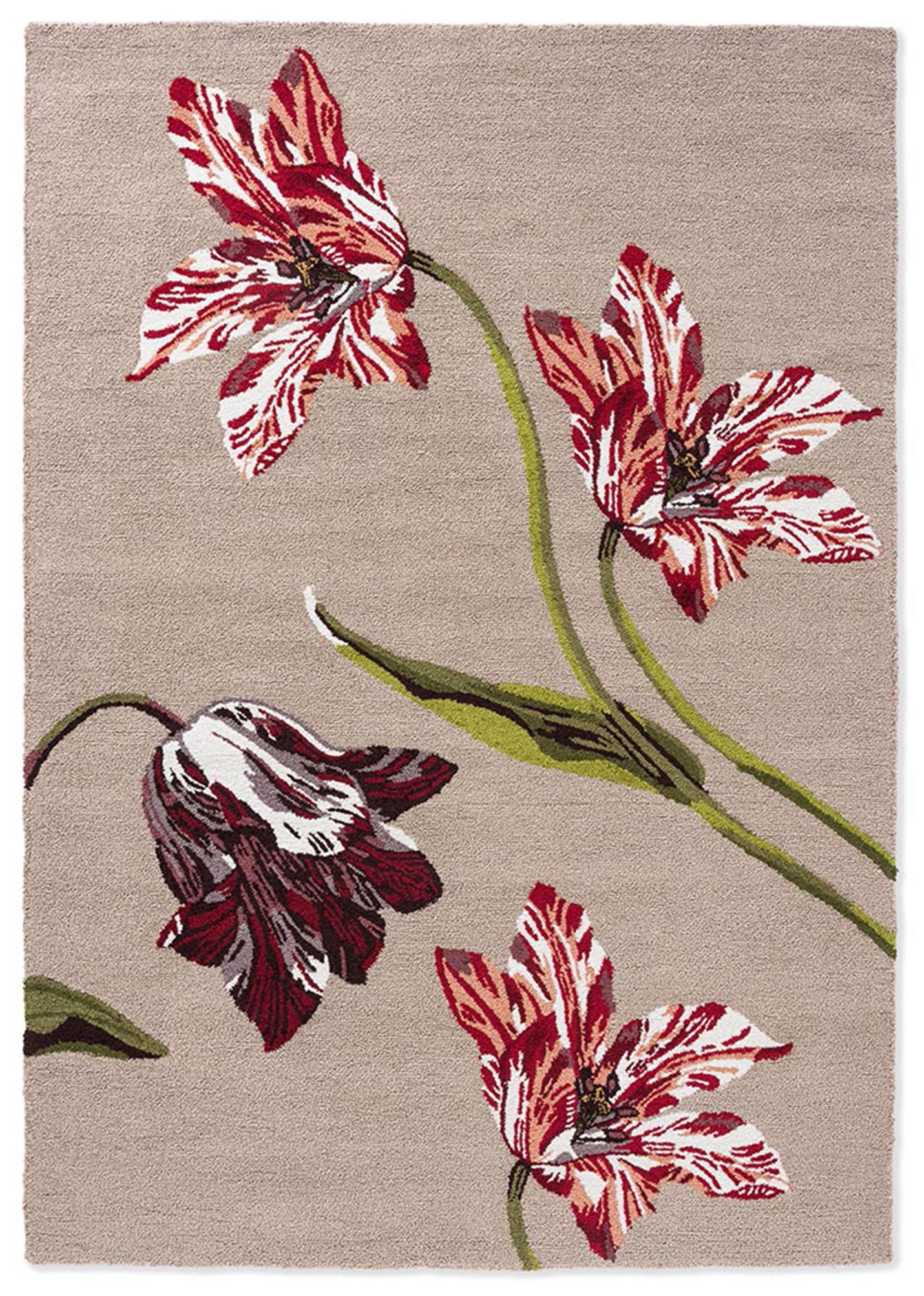 Ted Baker Botanical Tulip Burgundy Outdoor 455610 Rug – Love-Rugs