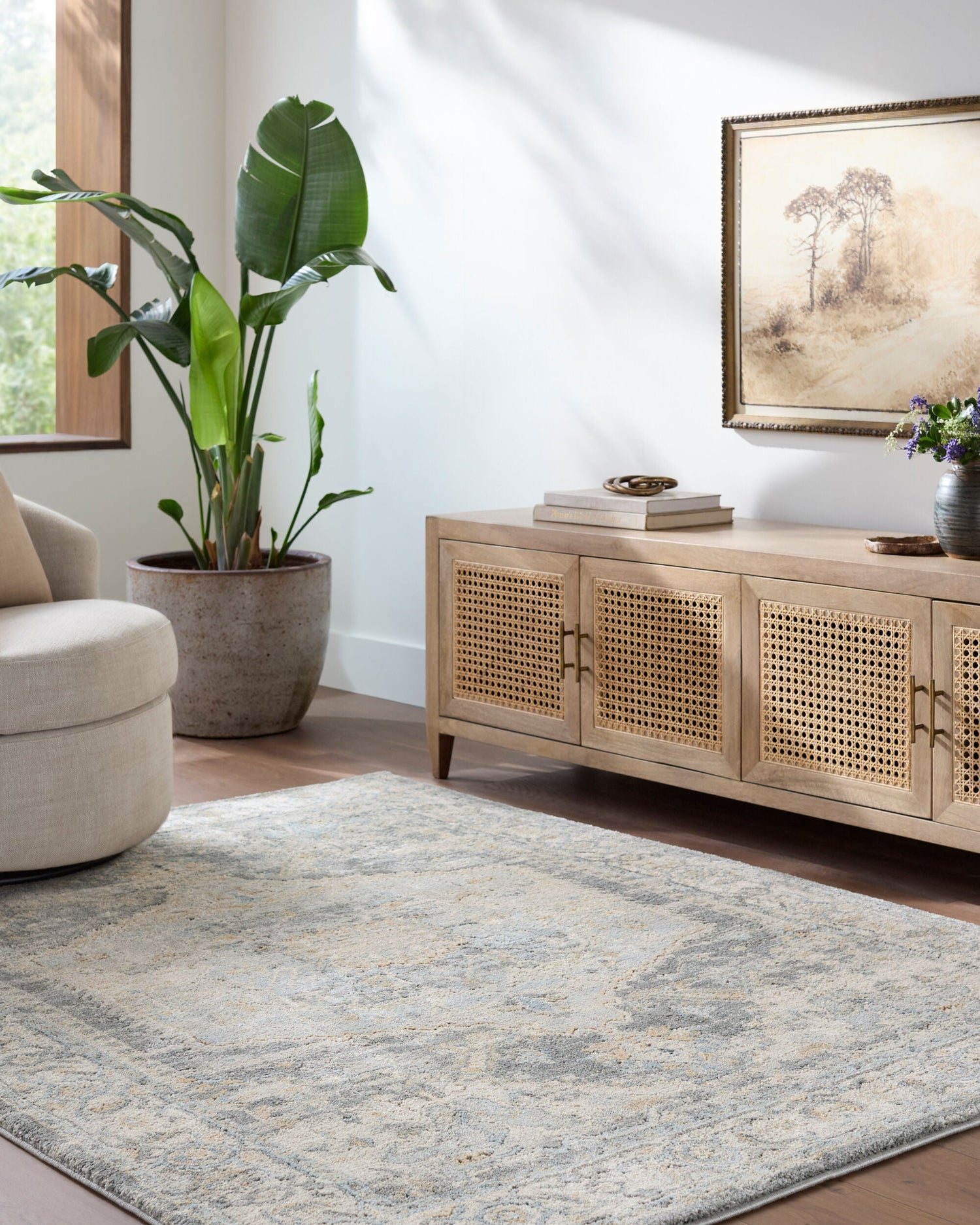 Avellino Rugs by Surya