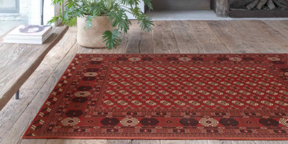 Traditional Rugs 