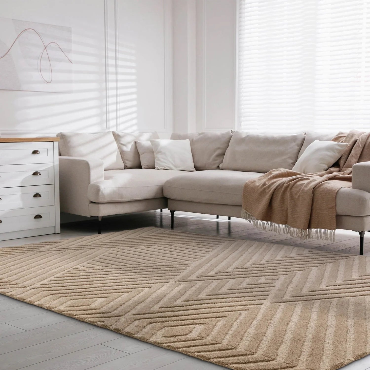 Taupe Rugs