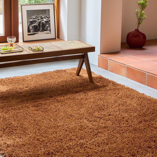 Brink & Campman Sprout Terracotta 013323 Rug alternate image