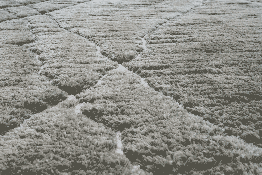 Dune 014-0005/4393 Rug