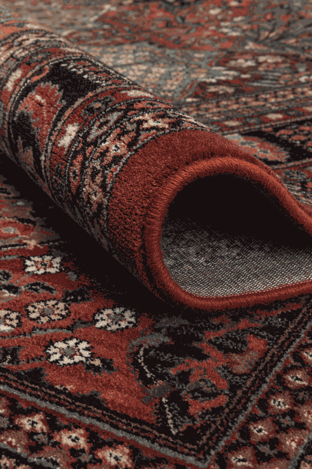 Kashqai 4309/300 Rug
