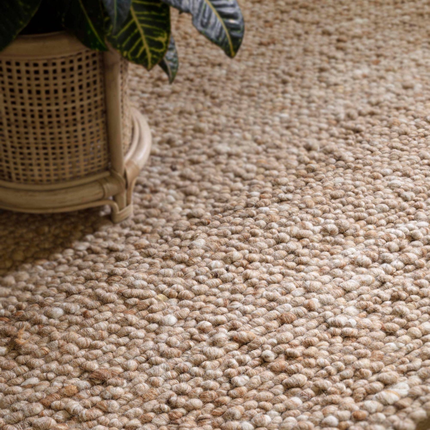 Adler Honey Rug - Love-Rugs