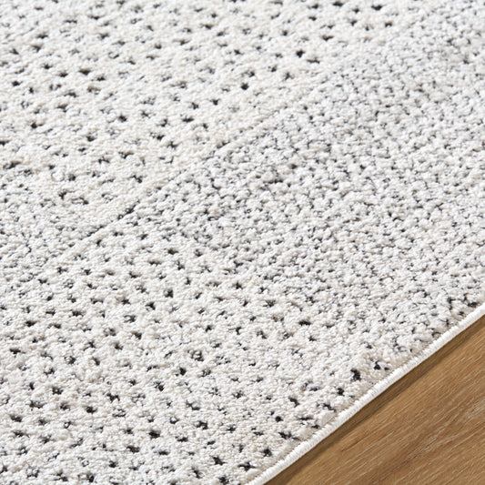 Architect Galey Alix x Livabliss Modern Scandi High Pile Ivory/Black GAAR2302 Runner Rug - Love-Rugs alternate image
