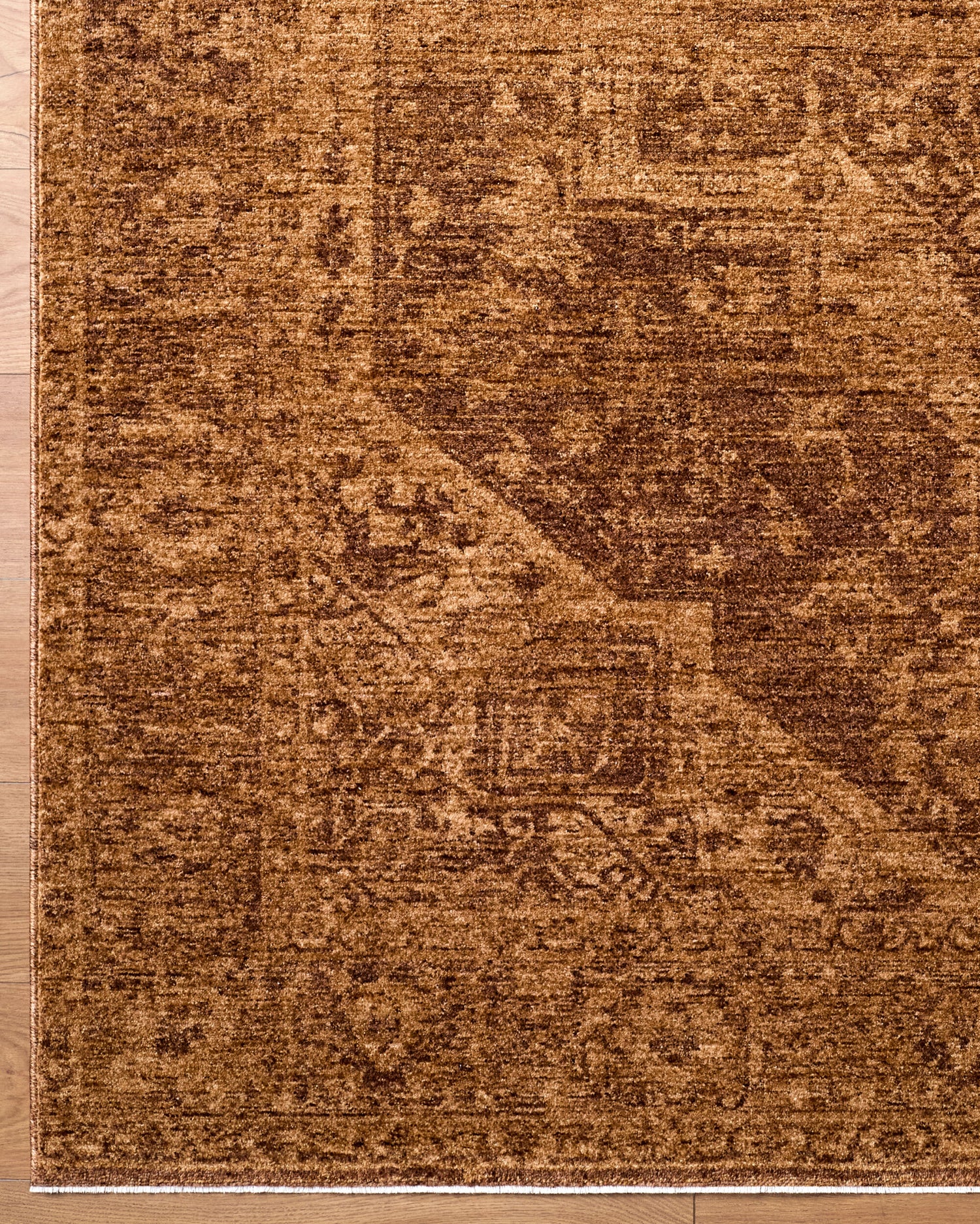 Cyrus CYR2300 Rug - Love-Rugs