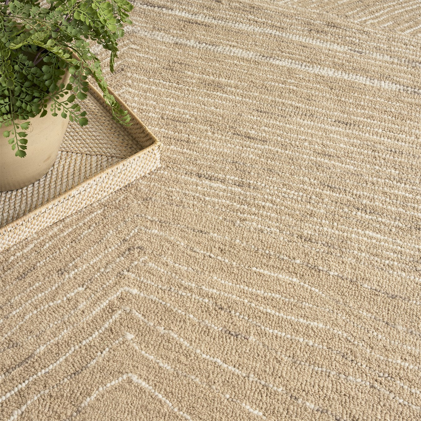 DKNY Pure Angles ANG01 Camel Rug - Love-Rugs