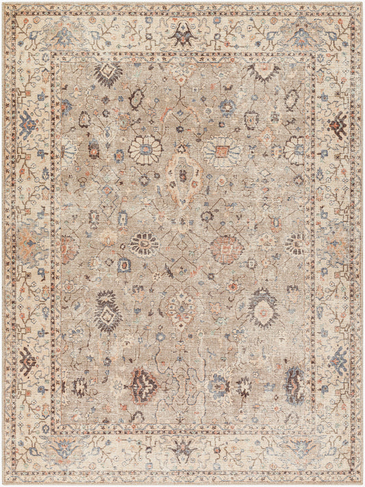 Davina Becki Owens x Livabliss Oriental Vintage BOCC2302 Rug - Love-Rugs