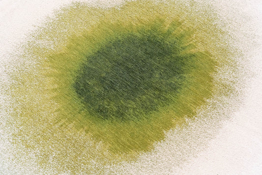 Louis De Poortere Meditation Drop 2105 Green Pepper Rug - Love-Rugs alternate image