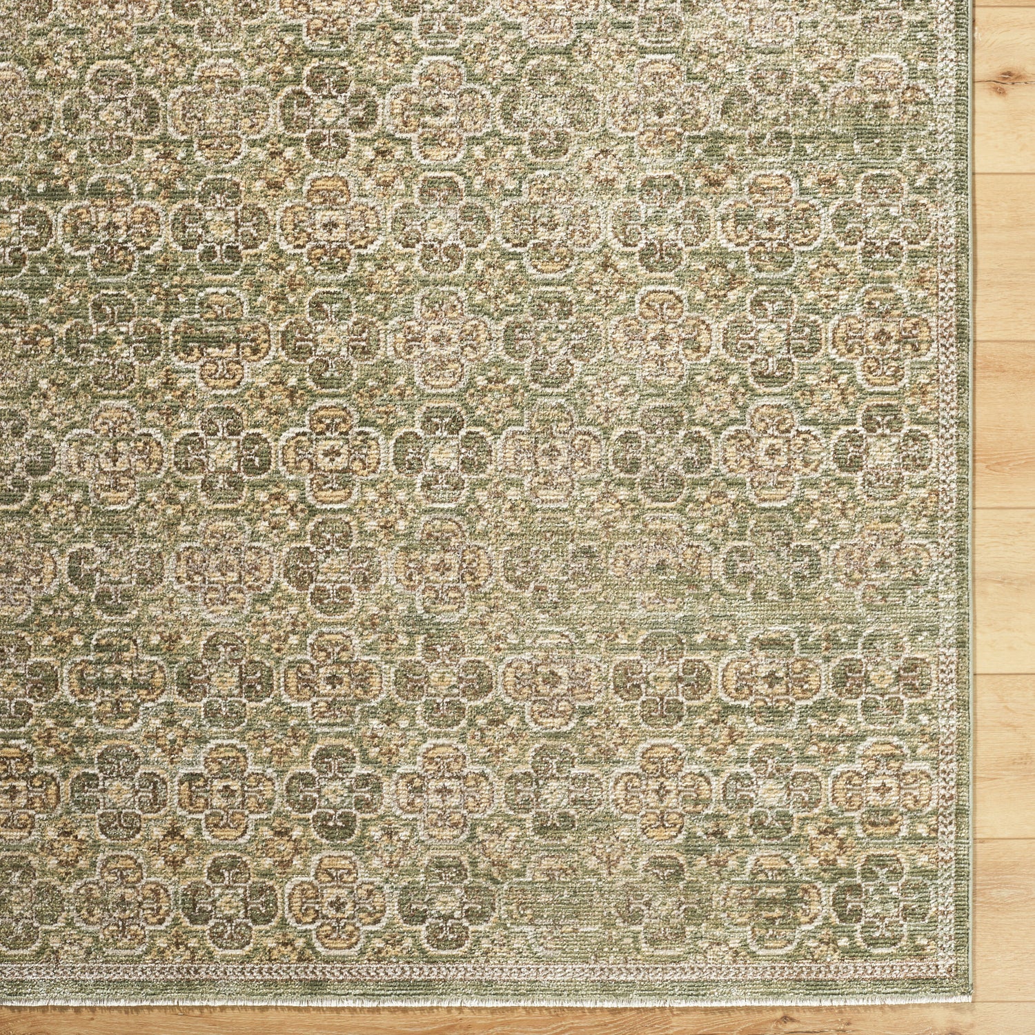 Myrtle Avenue Galey Alix x Livabliss Vintage Traditional Oriental Boho Brown/Olive GAMY2301 Rug - Love-Rugs