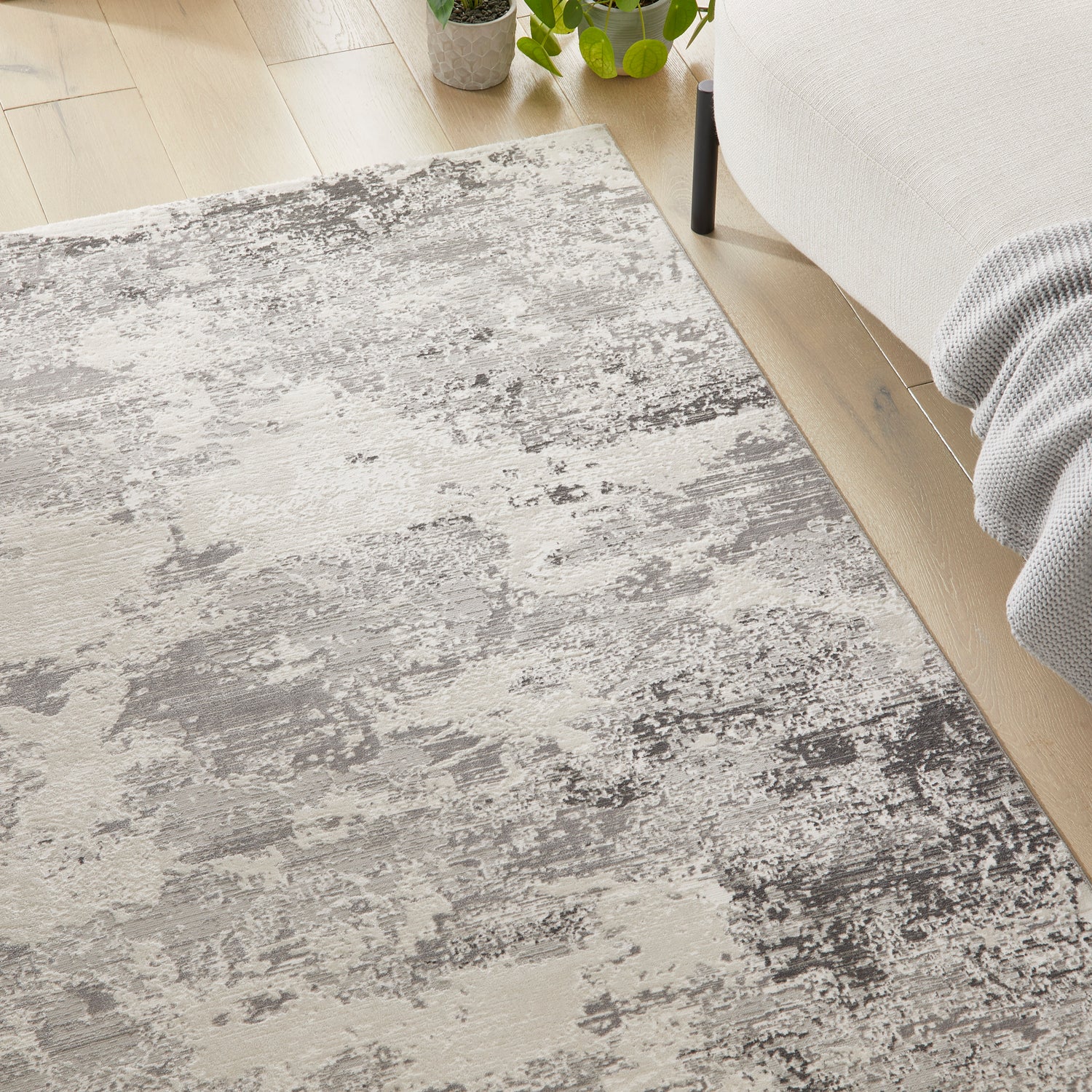 Olivia OLI105 GREY Grey Rug