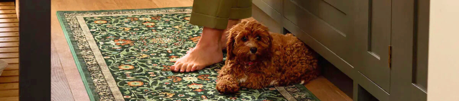 Machine Washable Rugs