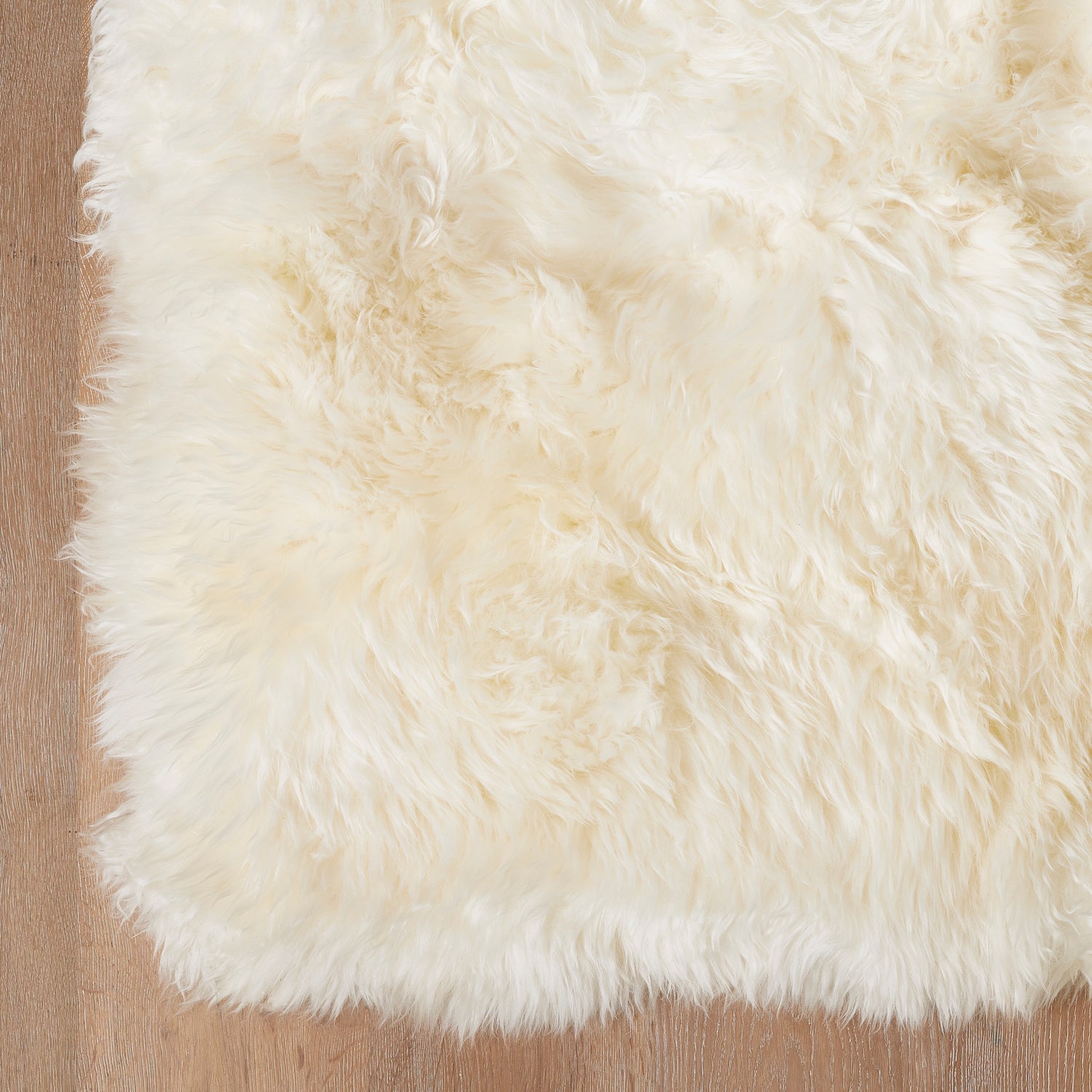 Sheep Skin Rug