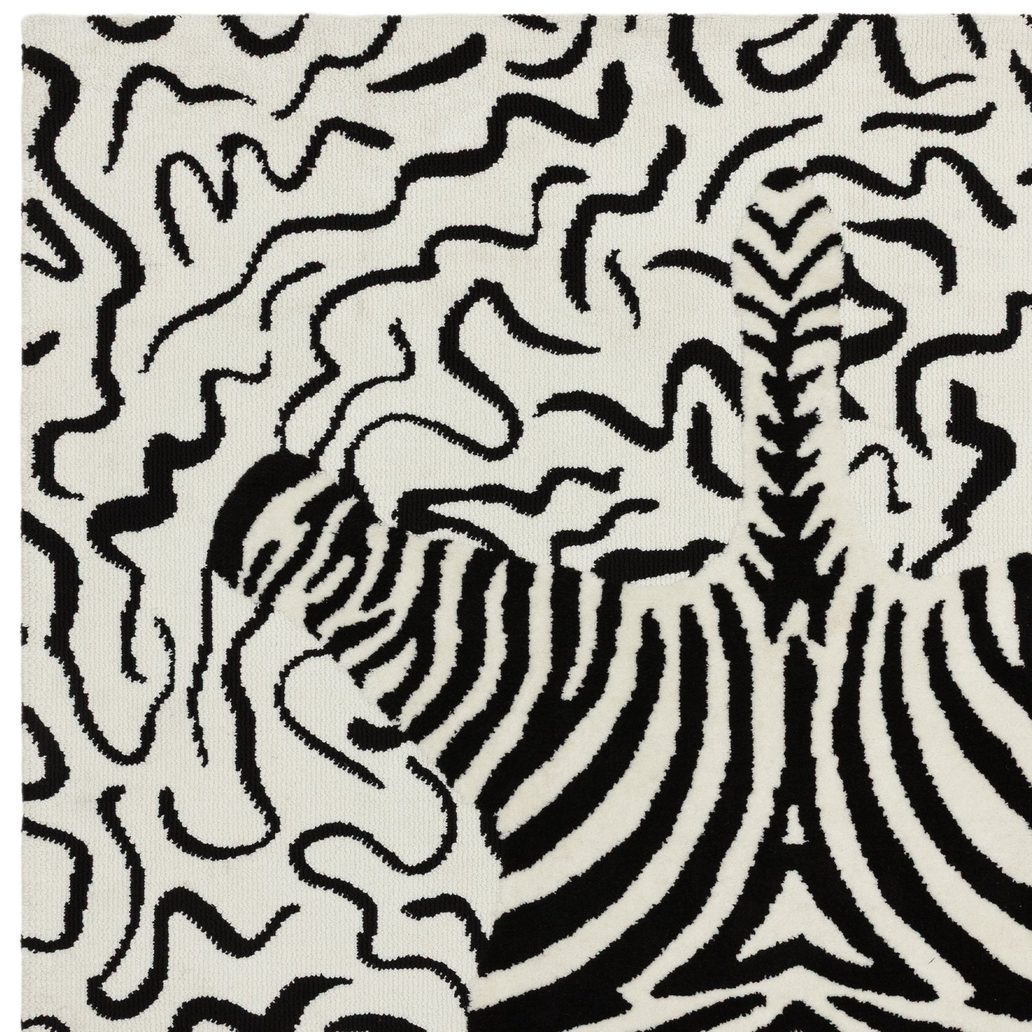 Wilder Zebra Mono Rug - Love-Rugs
