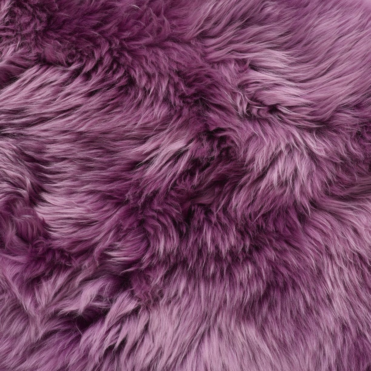 Bowron Longwool Medici Sheepskin Rug