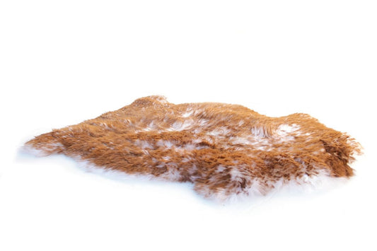 Bowron Sheepskins Pet Care Natural Shape Hide Rug - Love-Rugs alternate image