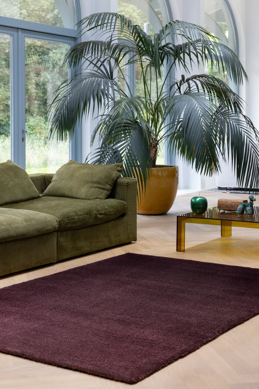 Brink & Campman Shade Low Plum/Fig 010100 Rug - Love-Rugs alternate image