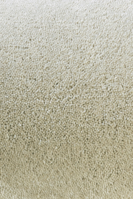 Brink & Campman Twinset Cut 21504 (Made To Order) Rug - Love-Rugs