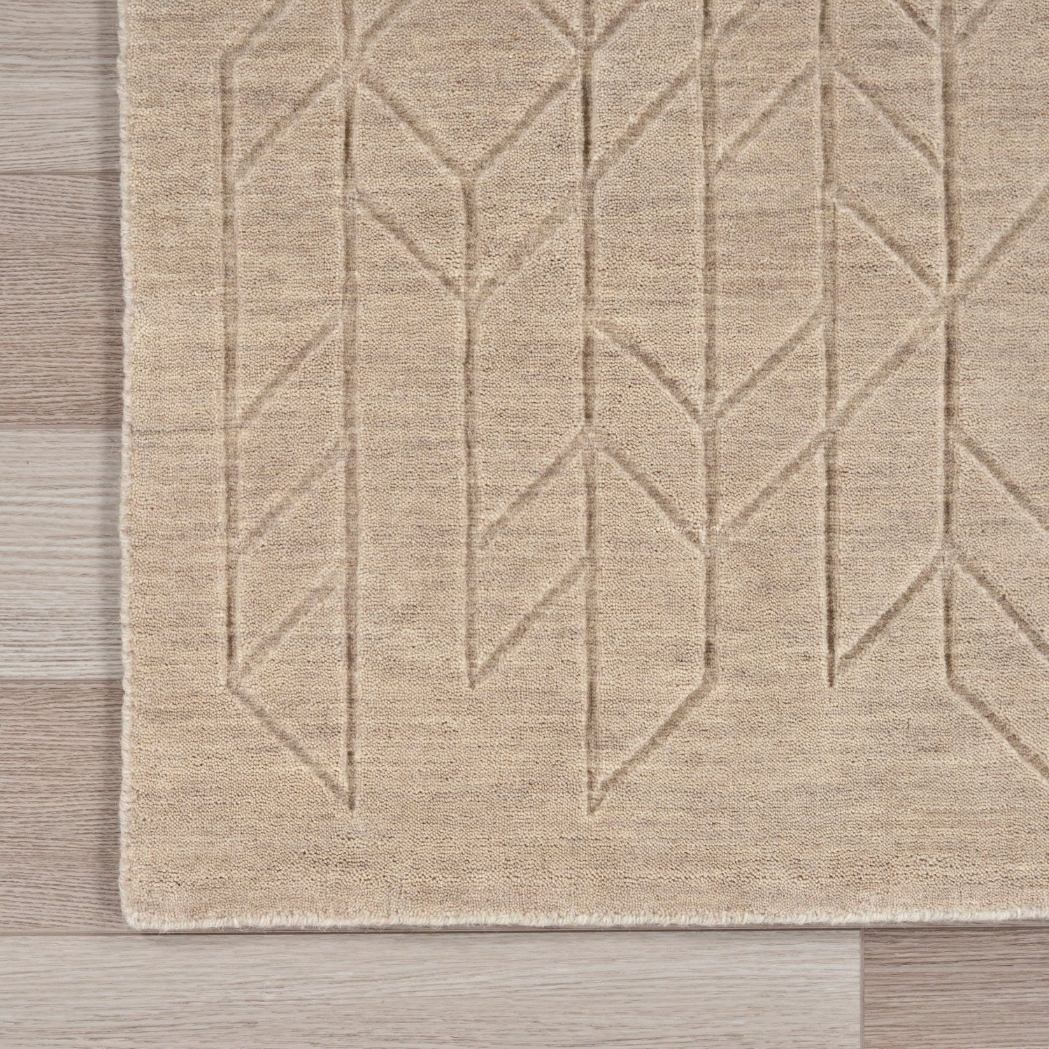 Nourison Alessia ALE01 Beige Rug - Love-Rugs